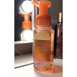 ☀️2/20 foaming BBW soap